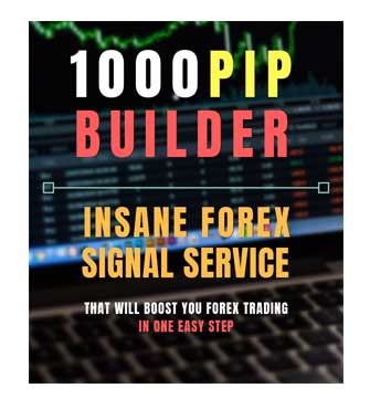 1000PIP Builder at a glance